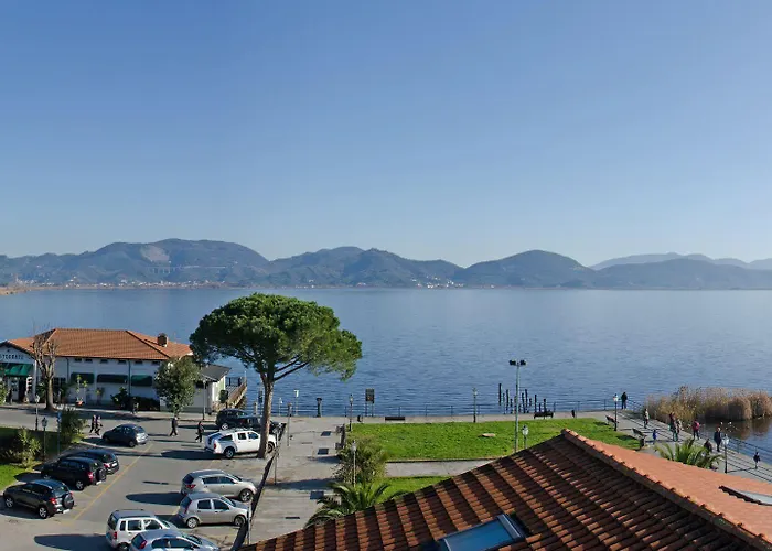 Butterfly 소레델라고푸치니